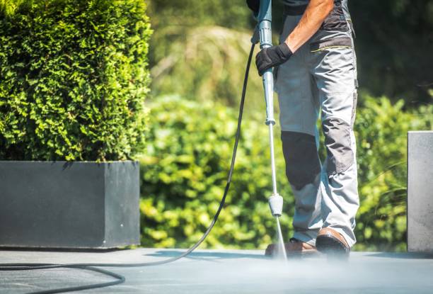 Best Restaurant Pressure Washing  in Caro, MI