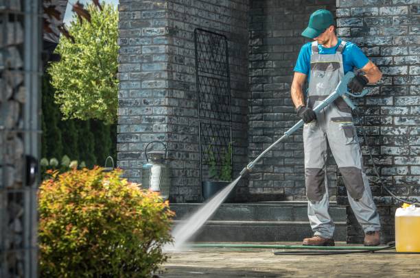 Best Roof Washing  in Caro, MI