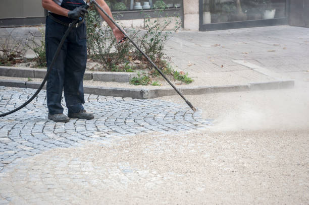 Best Sidewalk and Walkway Cleaning  in Caro, MI