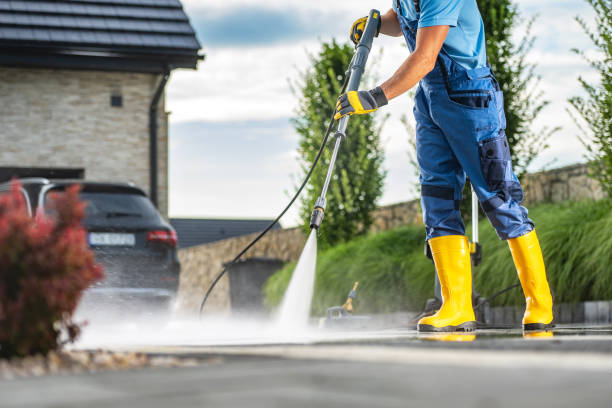 Best Driveway Pressure Washing  in Caro, MI
